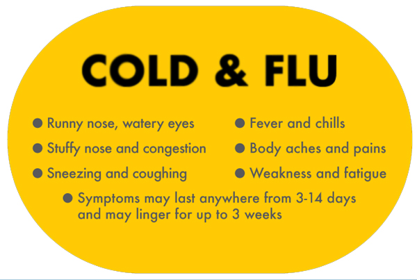 Cold & Flu
